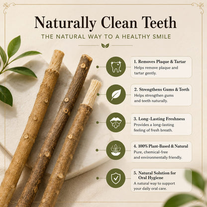 Natural Miswak – For Healthy Teeth & Fresh Breath